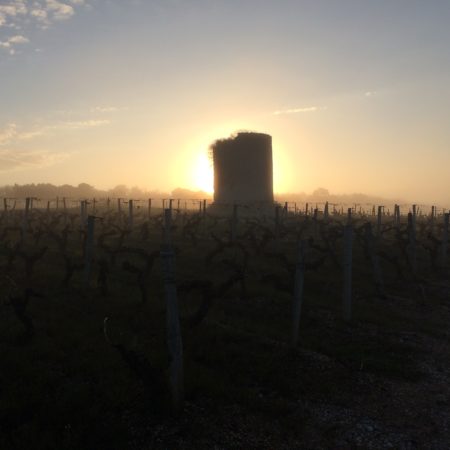 Cru Bourgeois Exceptionnel - Grand vin de Bordeaux - Union des Grands Crus - UGCB